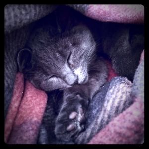 ⚡♥️BUNDLE TO SAVE♥️⚡